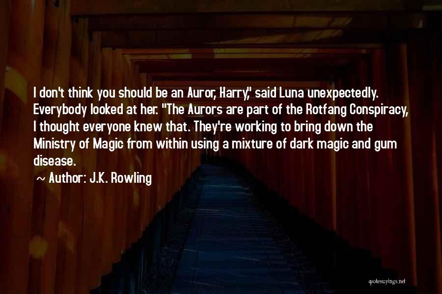 J.K. Rowling Quotes: I Don't Think You Should Be An Auror, Harry, Said Luna Unexpectedly. Everybody Looked At Her. The Aurors Are Part