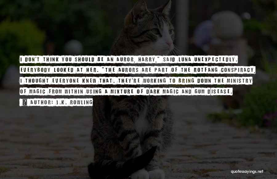 J.K. Rowling Quotes: I Don't Think You Should Be An Auror, Harry, Said Luna Unexpectedly. Everybody Looked At Her. The Aurors Are Part