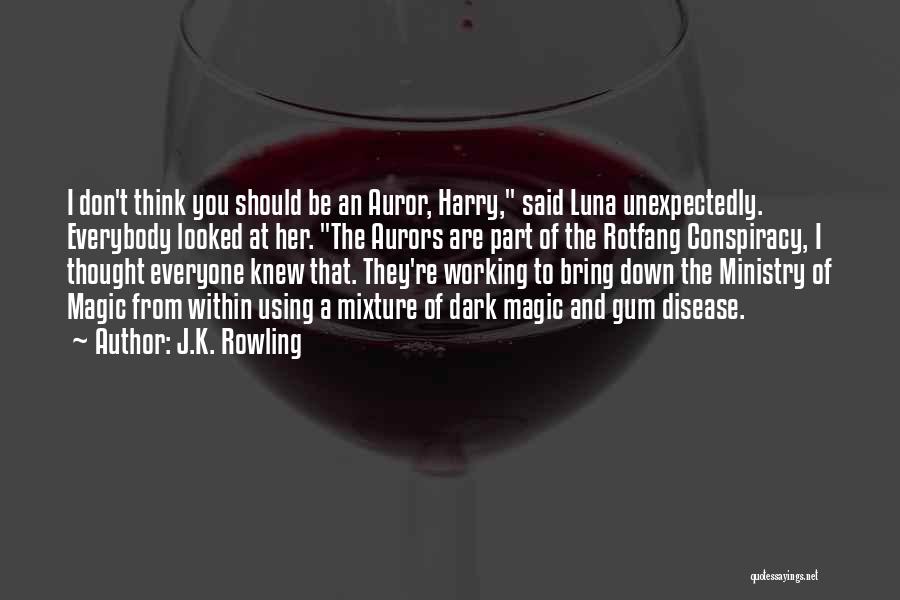 J.K. Rowling Quotes: I Don't Think You Should Be An Auror, Harry, Said Luna Unexpectedly. Everybody Looked At Her. The Aurors Are Part