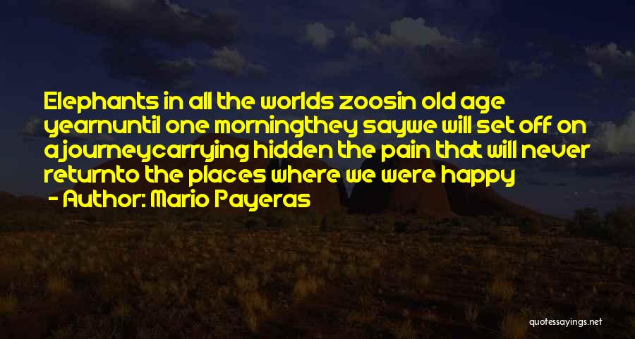 Mario Payeras Quotes: Elephants In All The Worlds Zoosin Old Age Yearnuntil One Morningthey Saywe Will Set Off On A Journeycarrying Hidden The