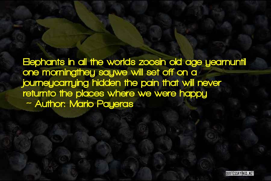 Mario Payeras Quotes: Elephants In All The Worlds Zoosin Old Age Yearnuntil One Morningthey Saywe Will Set Off On A Journeycarrying Hidden The