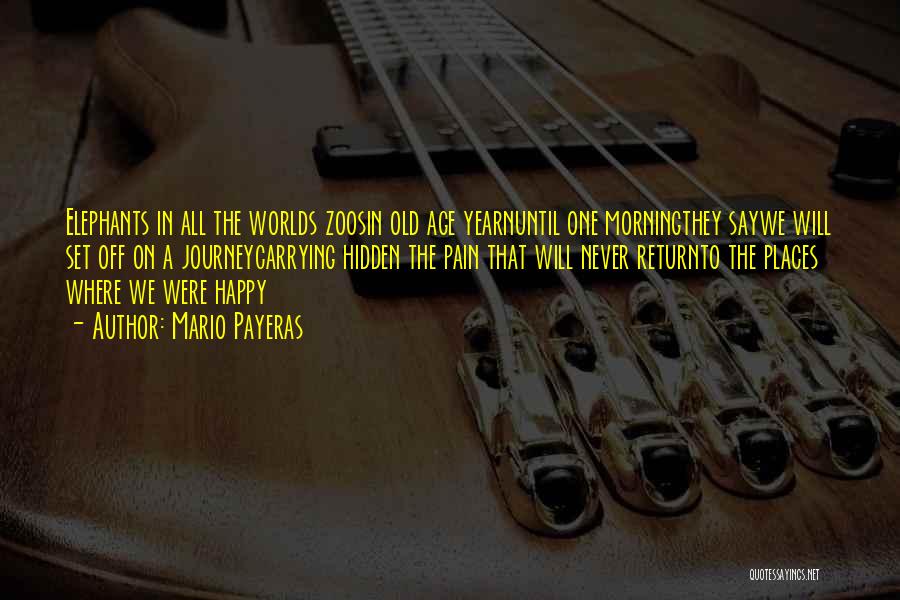 Mario Payeras Quotes: Elephants In All The Worlds Zoosin Old Age Yearnuntil One Morningthey Saywe Will Set Off On A Journeycarrying Hidden The