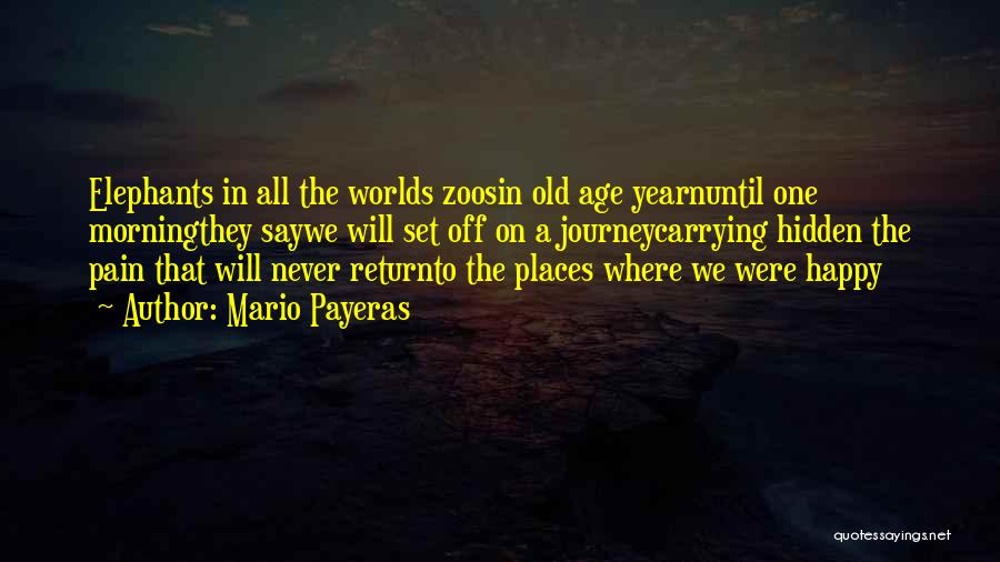 Mario Payeras Quotes: Elephants In All The Worlds Zoosin Old Age Yearnuntil One Morningthey Saywe Will Set Off On A Journeycarrying Hidden The
