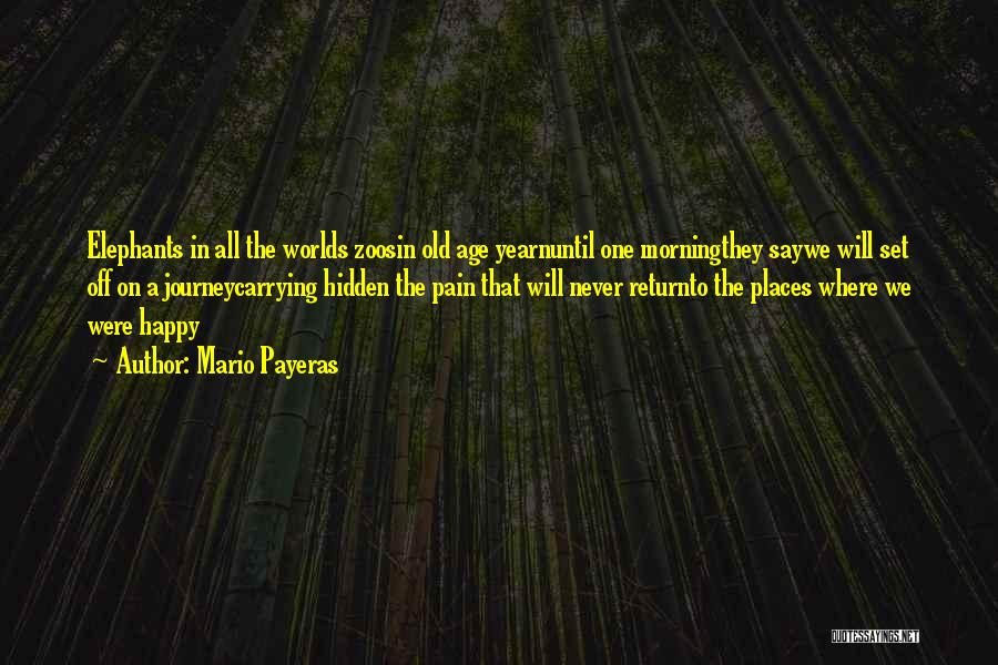 Mario Payeras Quotes: Elephants In All The Worlds Zoosin Old Age Yearnuntil One Morningthey Saywe Will Set Off On A Journeycarrying Hidden The