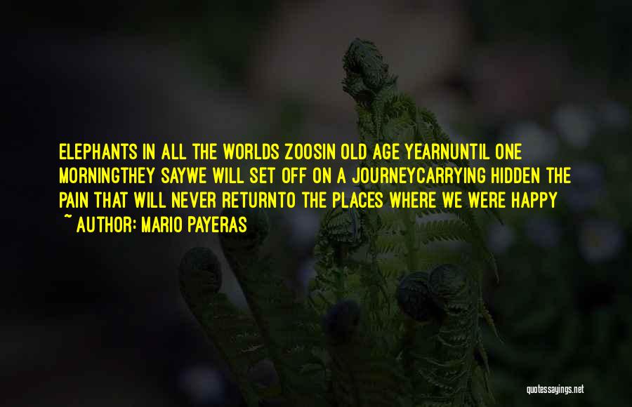 Mario Payeras Quotes: Elephants In All The Worlds Zoosin Old Age Yearnuntil One Morningthey Saywe Will Set Off On A Journeycarrying Hidden The
