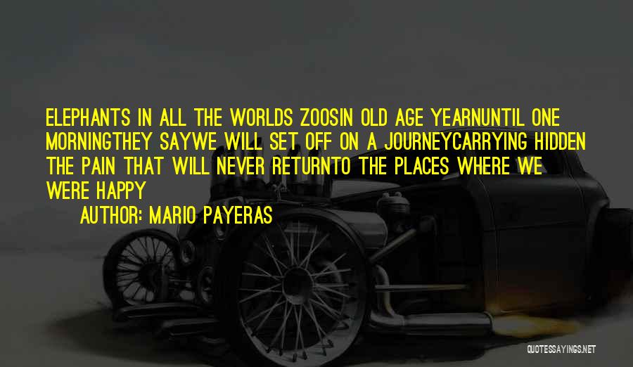 Mario Payeras Quotes: Elephants In All The Worlds Zoosin Old Age Yearnuntil One Morningthey Saywe Will Set Off On A Journeycarrying Hidden The