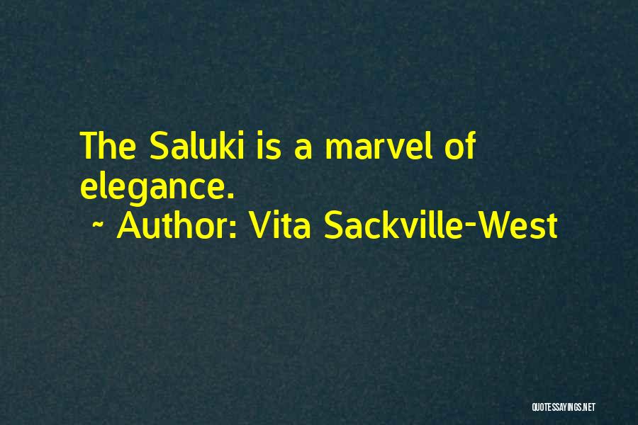 Vita Sackville-West Quotes: The Saluki Is A Marvel Of Elegance.