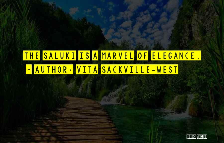 Vita Sackville-West Quotes: The Saluki Is A Marvel Of Elegance.