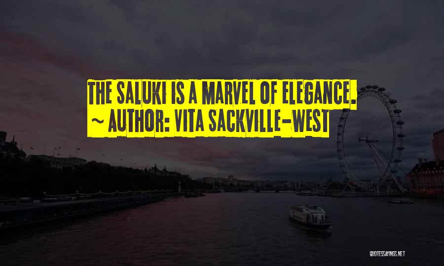 Vita Sackville-West Quotes: The Saluki Is A Marvel Of Elegance.