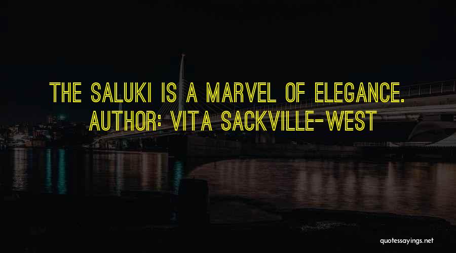 Vita Sackville-West Quotes: The Saluki Is A Marvel Of Elegance.