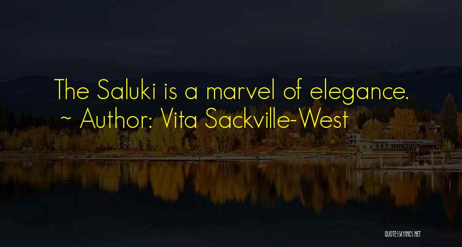 Vita Sackville-West Quotes: The Saluki Is A Marvel Of Elegance.