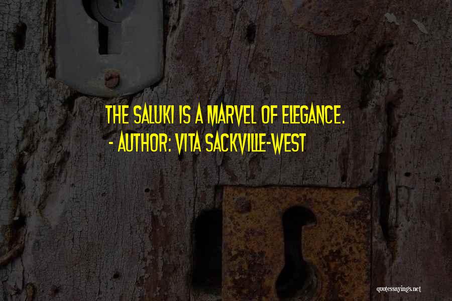 Vita Sackville-West Quotes: The Saluki Is A Marvel Of Elegance.