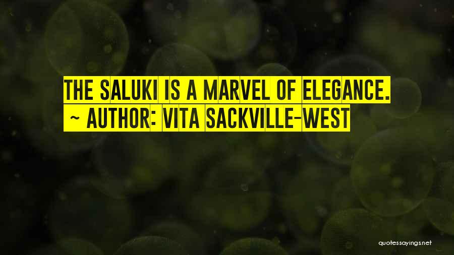 Vita Sackville-West Quotes: The Saluki Is A Marvel Of Elegance.