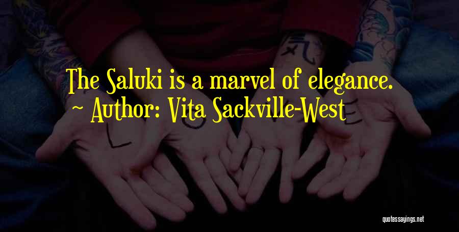 Vita Sackville-West Quotes: The Saluki Is A Marvel Of Elegance.