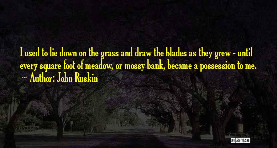 John Ruskin Quotes: I Used To Lie Down On The Grass And Draw The Blades As They Grew - Until Every Square Foot