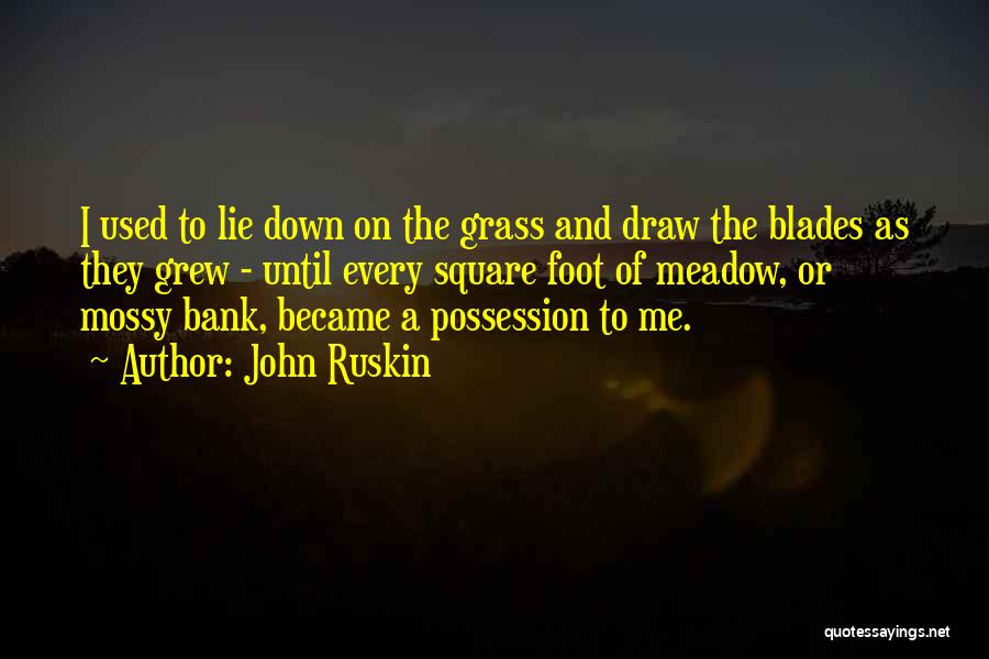 John Ruskin Quotes: I Used To Lie Down On The Grass And Draw The Blades As They Grew - Until Every Square Foot