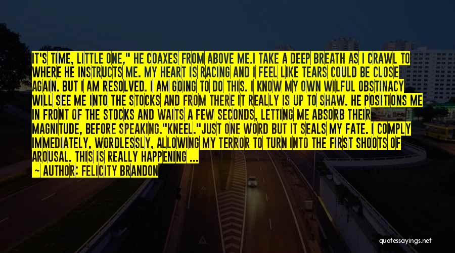 Felicity Brandon Quotes: It's Time, Little One, He Coaxes From Above Me.i Take A Deep Breath As I Crawl To Where He Instructs