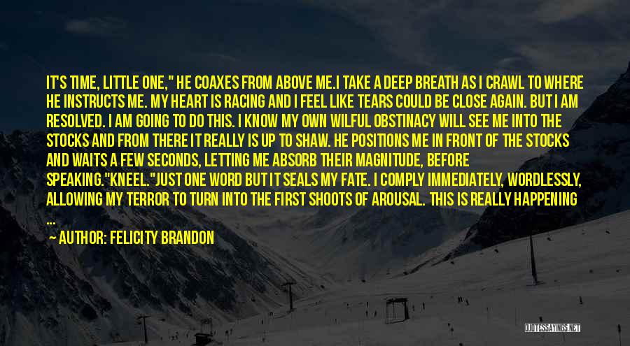 Felicity Brandon Quotes: It's Time, Little One, He Coaxes From Above Me.i Take A Deep Breath As I Crawl To Where He Instructs