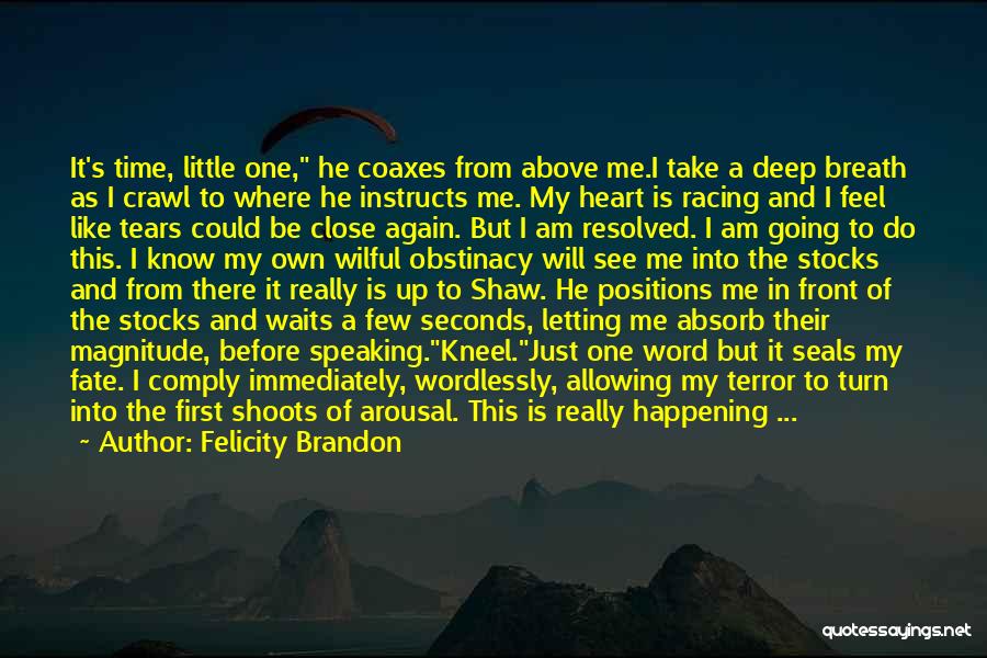 Felicity Brandon Quotes: It's Time, Little One, He Coaxes From Above Me.i Take A Deep Breath As I Crawl To Where He Instructs