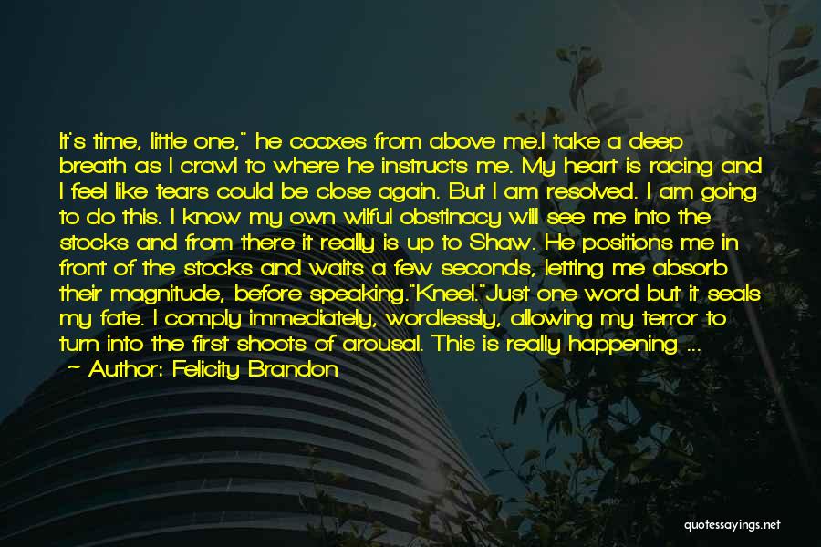 Felicity Brandon Quotes: It's Time, Little One, He Coaxes From Above Me.i Take A Deep Breath As I Crawl To Where He Instructs