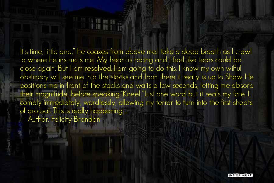 Felicity Brandon Quotes: It's Time, Little One, He Coaxes From Above Me.i Take A Deep Breath As I Crawl To Where He Instructs