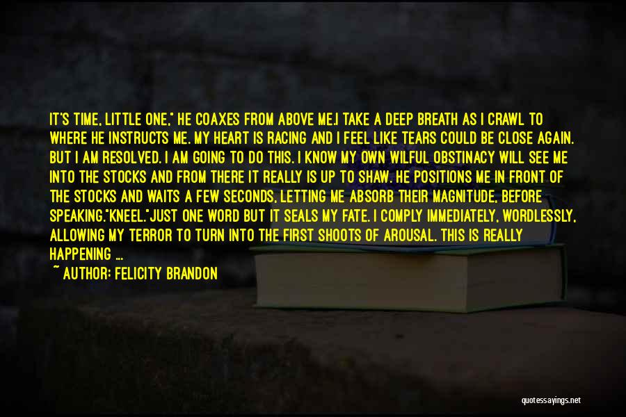 Felicity Brandon Quotes: It's Time, Little One, He Coaxes From Above Me.i Take A Deep Breath As I Crawl To Where He Instructs