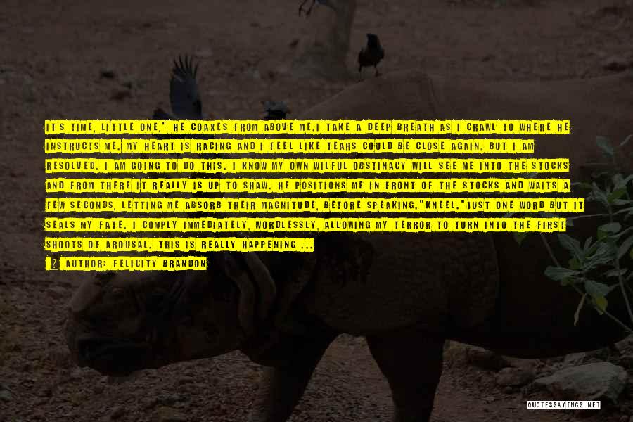Felicity Brandon Quotes: It's Time, Little One, He Coaxes From Above Me.i Take A Deep Breath As I Crawl To Where He Instructs