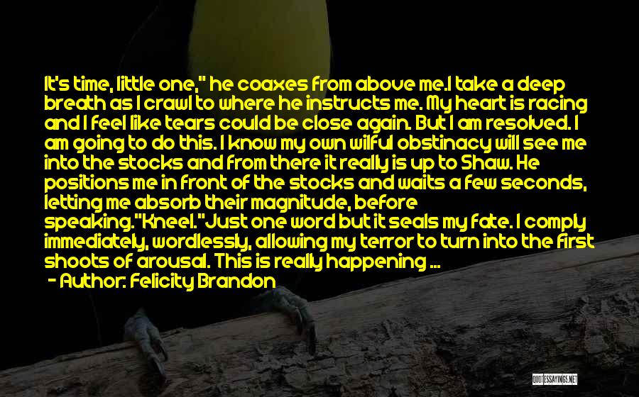 Felicity Brandon Quotes: It's Time, Little One, He Coaxes From Above Me.i Take A Deep Breath As I Crawl To Where He Instructs