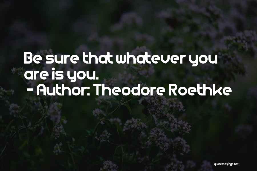 Theodore Roethke Quotes: Be Sure That Whatever You Are Is You.