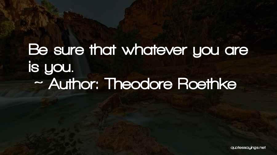 Theodore Roethke Quotes: Be Sure That Whatever You Are Is You.