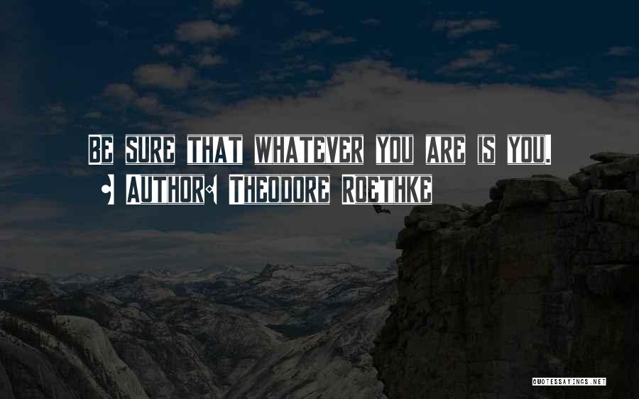 Theodore Roethke Quotes: Be Sure That Whatever You Are Is You.