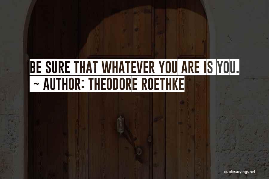 Theodore Roethke Quotes: Be Sure That Whatever You Are Is You.