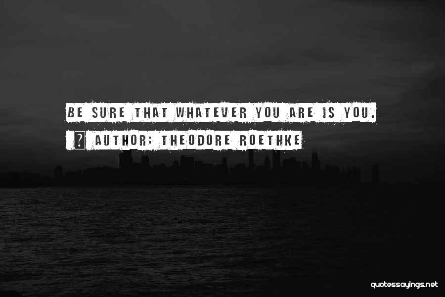 Theodore Roethke Quotes: Be Sure That Whatever You Are Is You.