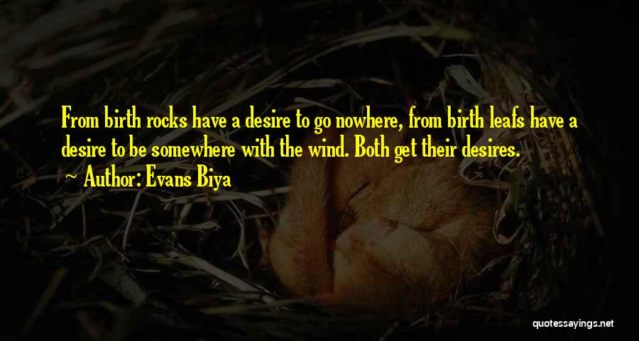 Evans Biya Quotes: From Birth Rocks Have A Desire To Go Nowhere, From Birth Leafs Have A Desire To Be Somewhere With The