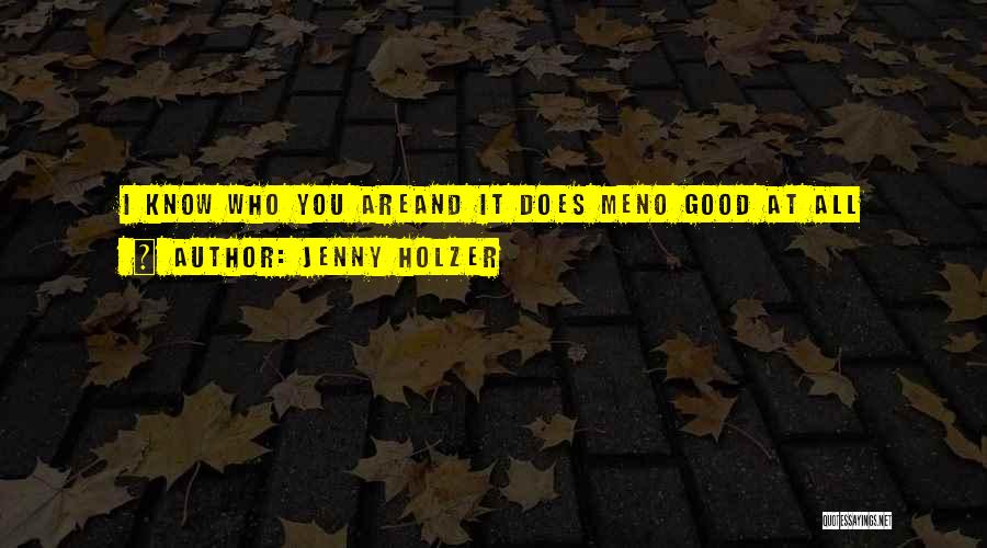Jenny Holzer Quotes: I Know Who You Areand It Does Meno Good At All