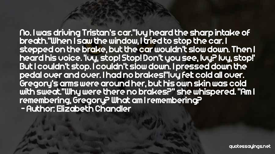 Elizabeth Chandler Quotes: No. I Was Driving Tristan's Car.ivy Heard The Sharp Intake Of Breath.when I Saw The Window, I Tried To Stop
