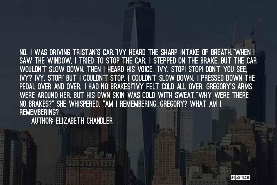 Elizabeth Chandler Quotes: No. I Was Driving Tristan's Car.ivy Heard The Sharp Intake Of Breath.when I Saw The Window, I Tried To Stop