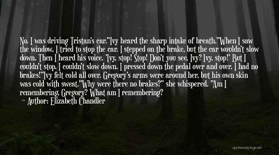 Elizabeth Chandler Quotes: No. I Was Driving Tristan's Car.ivy Heard The Sharp Intake Of Breath.when I Saw The Window, I Tried To Stop