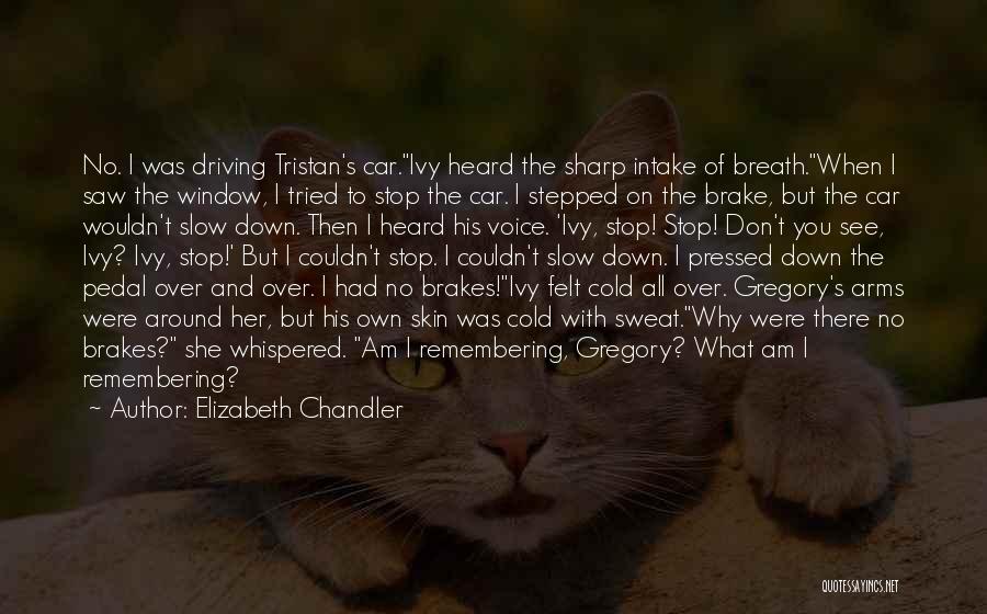 Elizabeth Chandler Quotes: No. I Was Driving Tristan's Car.ivy Heard The Sharp Intake Of Breath.when I Saw The Window, I Tried To Stop