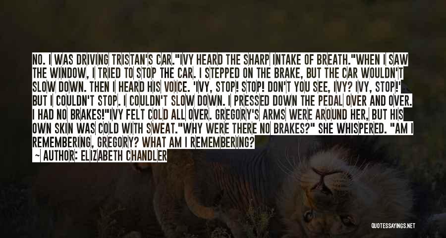 Elizabeth Chandler Quotes: No. I Was Driving Tristan's Car.ivy Heard The Sharp Intake Of Breath.when I Saw The Window, I Tried To Stop