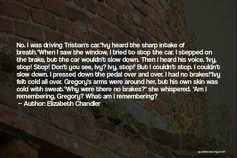 Elizabeth Chandler Quotes: No. I Was Driving Tristan's Car.ivy Heard The Sharp Intake Of Breath.when I Saw The Window, I Tried To Stop