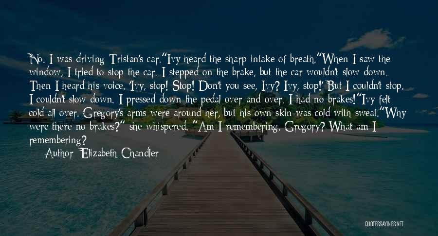 Elizabeth Chandler Quotes: No. I Was Driving Tristan's Car.ivy Heard The Sharp Intake Of Breath.when I Saw The Window, I Tried To Stop