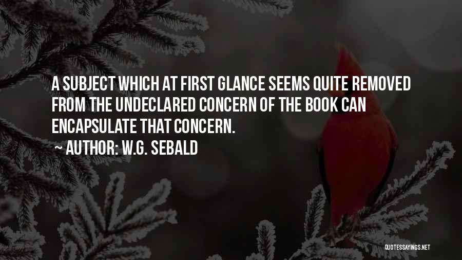 W.G. Sebald Quotes: A Subject Which At First Glance Seems Quite Removed From The Undeclared Concern Of The Book Can Encapsulate That Concern.