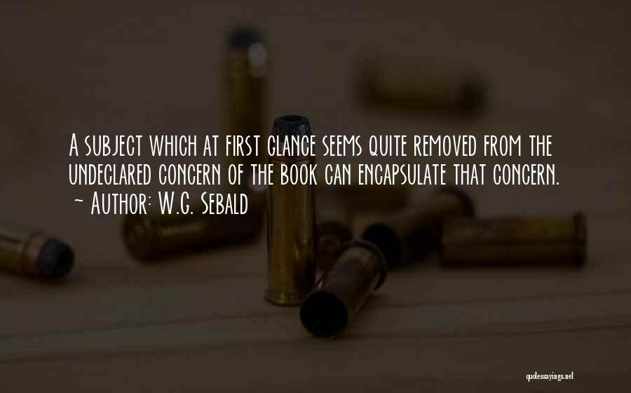 W.G. Sebald Quotes: A Subject Which At First Glance Seems Quite Removed From The Undeclared Concern Of The Book Can Encapsulate That Concern.