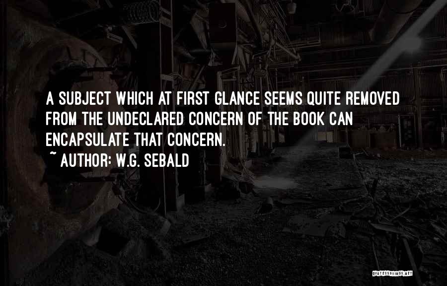 W.G. Sebald Quotes: A Subject Which At First Glance Seems Quite Removed From The Undeclared Concern Of The Book Can Encapsulate That Concern.