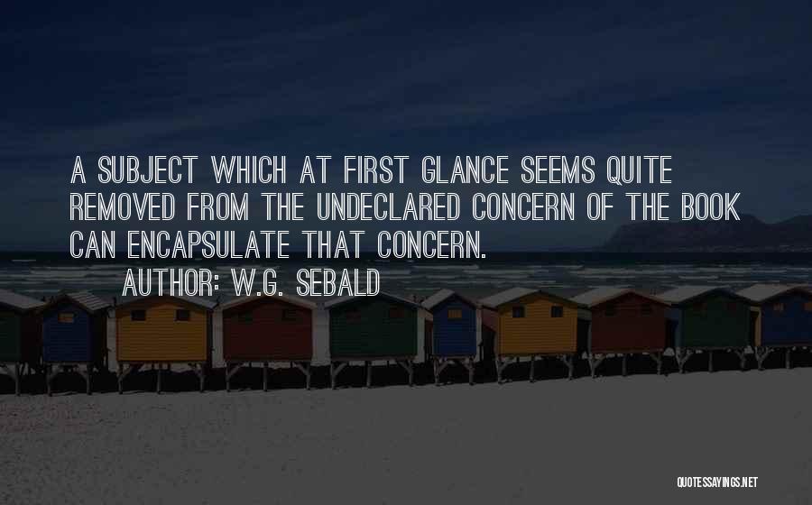 W.G. Sebald Quotes: A Subject Which At First Glance Seems Quite Removed From The Undeclared Concern Of The Book Can Encapsulate That Concern.