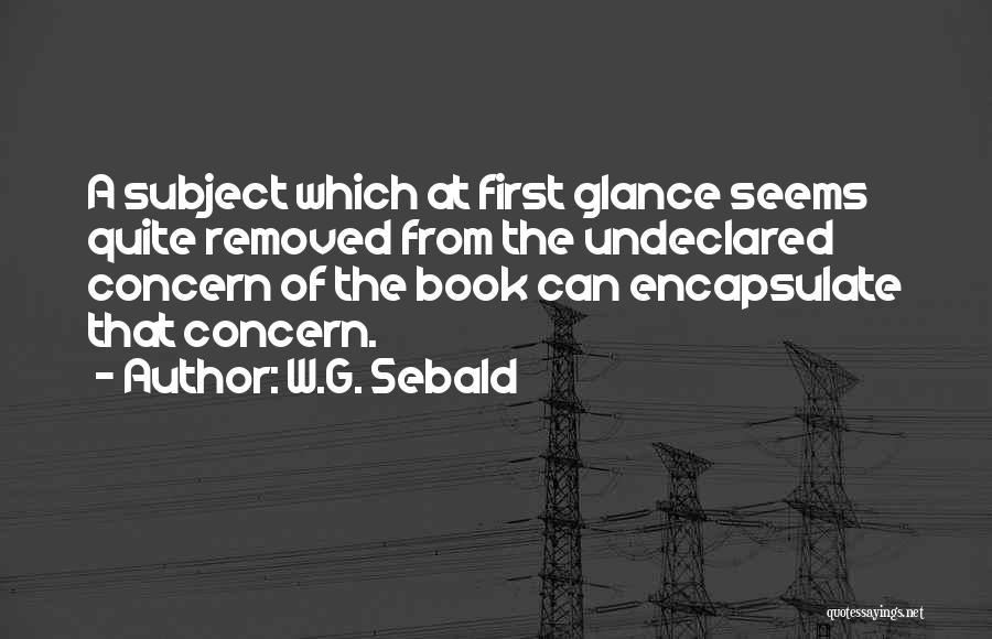 W.G. Sebald Quotes: A Subject Which At First Glance Seems Quite Removed From The Undeclared Concern Of The Book Can Encapsulate That Concern.