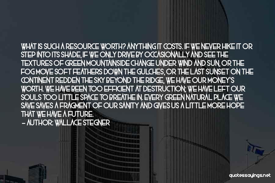 Wallace Stegner Quotes: What Is Such A Resource Worth? Anything It Costs. If We Never Hike It Or Step Into Its Shade, If