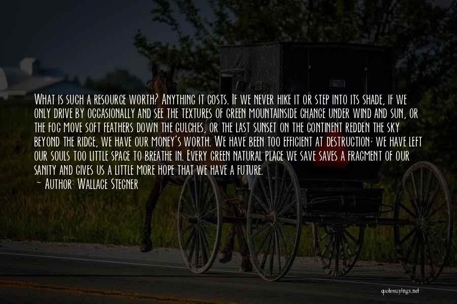 Wallace Stegner Quotes: What Is Such A Resource Worth? Anything It Costs. If We Never Hike It Or Step Into Its Shade, If