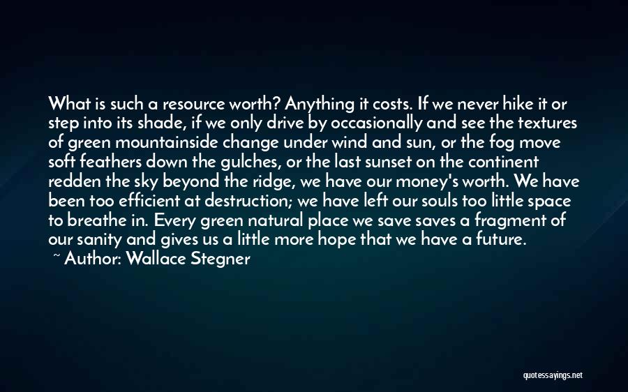 Wallace Stegner Quotes: What Is Such A Resource Worth? Anything It Costs. If We Never Hike It Or Step Into Its Shade, If